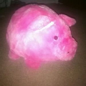 A piggy bank